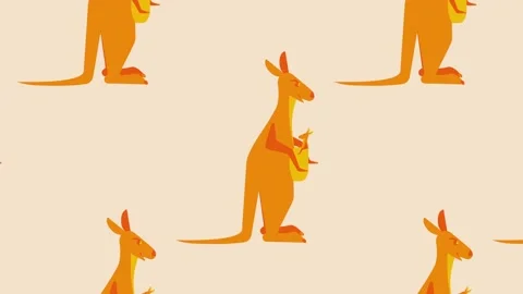 Kangaroo with cub. Slow motion Stock Footage 163516790