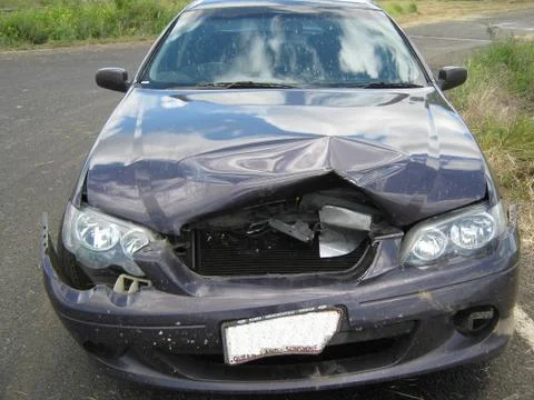 Kangaroo Damage Foto stock