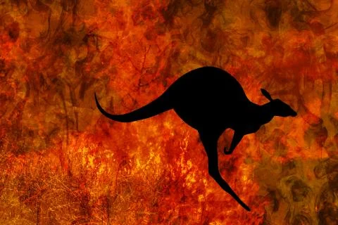 Kangaroo escape from bushfire Stock Illustration