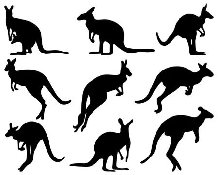Kangaroo Stock Illustration