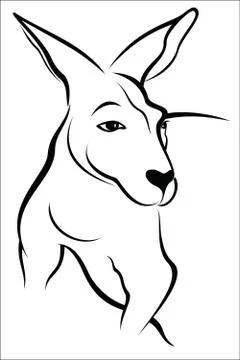 Kangaroo Stock Illustration