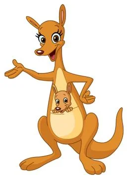 Kangaroo Stock Illustration