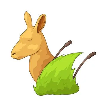 Kangaroo illustration Stock Illustration
