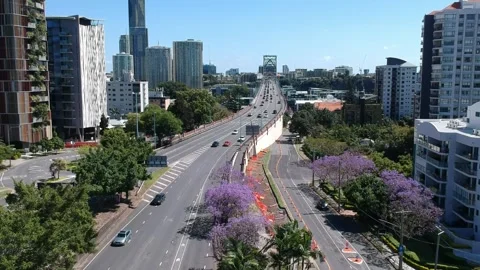 Kangaroo Point, Brisbane CBD, Queensland: Footage of Skyline, River, Jacarandas Stock Footage 305200181