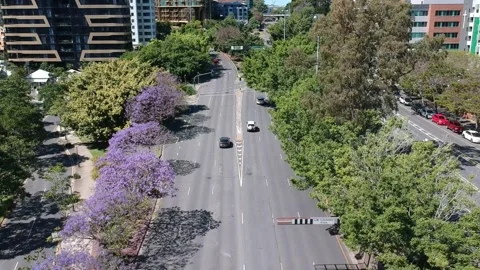 Kangaroo Point, Brisbane CBD, Queensland: Footage of Skyline, River, Jacarandas 動画素材 305200356