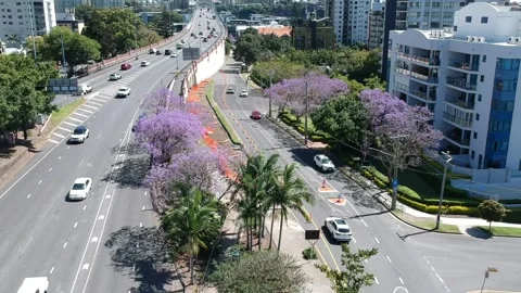 Kangaroo Point, Brisbane CBD, Queensland: Footage of Skyline, River, Jacarandas 動画素材 305200358