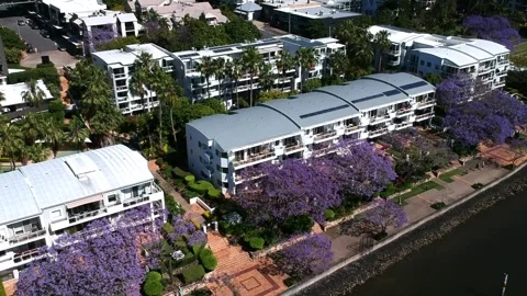 Kangaroo Point, Brisbane CBD, Queensland: Footage of Skyline, River, Jacarandas Stock Footage 305200467