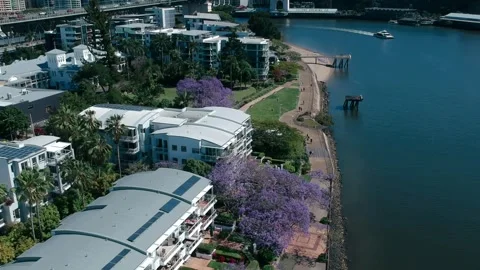 Kangaroo Point, Brisbane CBD, Queensland: Footage of Skyline, River, Jacarandas Stock Footage 305200471