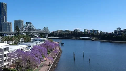 Kangaroo Point, Brisbane CBD, Queensland: Footage of Skyline, River, Jacarandas Видео 305200472