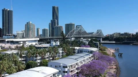 Kangaroo Point, Brisbane CBD, Queensland: Footage of Skyline, River, Jacarandas Stock Footage 305200592
