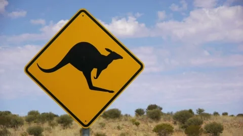 Kangaroo Road Sign Roadside Stock Footage 326019969