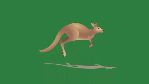 A kangaroo running across green screen and on background motion colorful Stock Footage 337336179