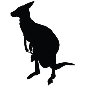 Kangaroo Silhouette Stock Illustration