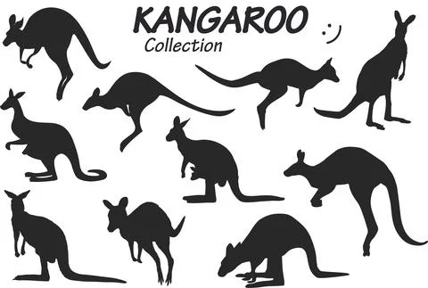 Kangaroo silhouettes collection 스톡 일러스트