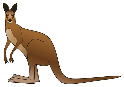 Kangaroo standing looking vector illustration isolated background mammal animal Stock Illustration