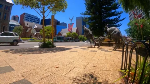 Kangaroo Statues Perth Western Australia Timelapse. Stock Footage 226069977