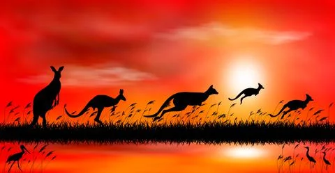 Kangaroo at sunset by the lake Stock Illustration