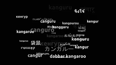 Kangaroo Translated in 47 Worldwide Languages Endless Looping 3d Zooming Word Video stock 145206165