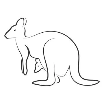 Kangaroo vector illustration design Stock Illustration