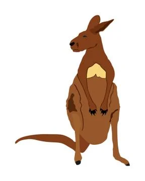 Kangaroo vector illustration isolated on white background Иллюстрация