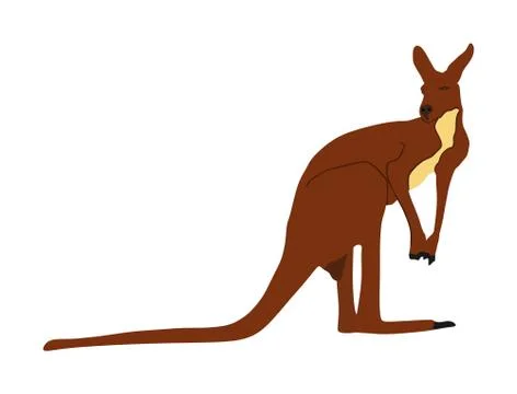 Kangaroo vector illustration isolated on white background イラスト素材