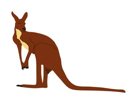 Kangaroo vector illustration isolated on white background. 스톡 일러스트