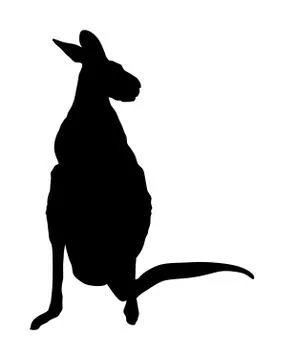 Kangaroo vector silhouette isolated on white background イラスト素材