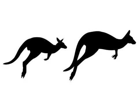 Kangaroo on a white background Stock Illustration