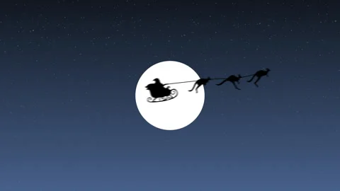 Kangaroos pull Santa's sleigh Stock Footage 255479403