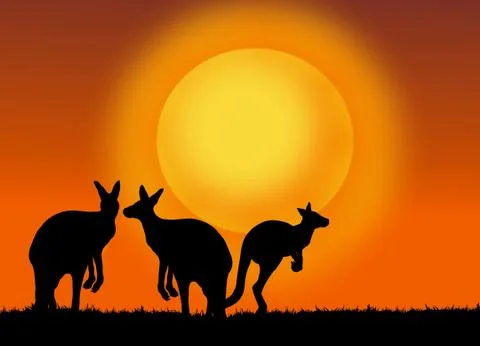 Kangaroos at sunset Stock Illustration