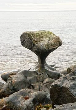 Kannesteinen Stock Photos