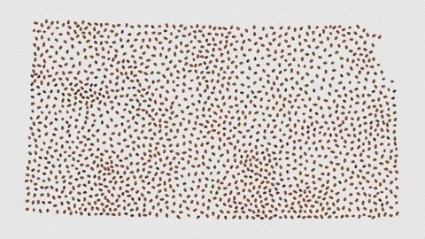 Kansas Coffee Beans Stock Footage 147612418