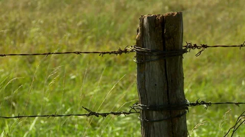 Kansas fence post Stock-Footage 54727636