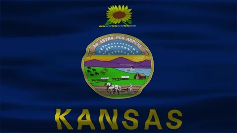 Kansas flag waving flag Stock Footage 312485257