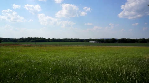 Kansas Grass in Wind Stock Footage 64334879
