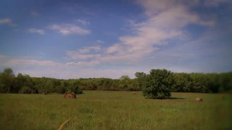 Kansas Hayfield with Clouds Timelapse Stock Footage 8930044