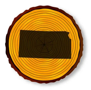 Kansas Map On Timber Stock Illustration