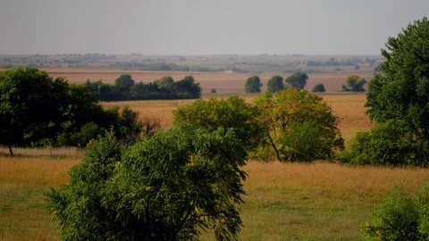 Kansas plains under a pale sky with distant trees 스톡 동영상 345530924