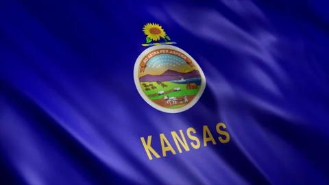 Kansas State Flag Stock Footage 249035651