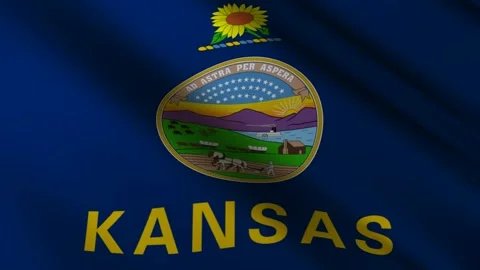 Kansas State Flag Stock Footage 276104974