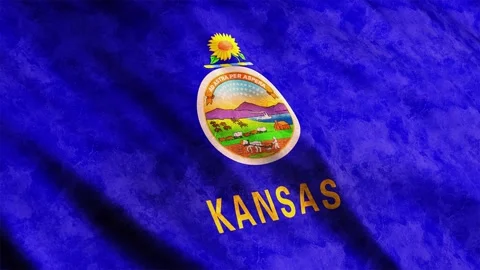 Kansas State Flag waving in the wind grunge version Stock Footage 236083736