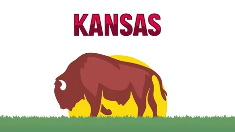 Kansas State with its captivating natural scenery and sky Vídeo Stock 336939929