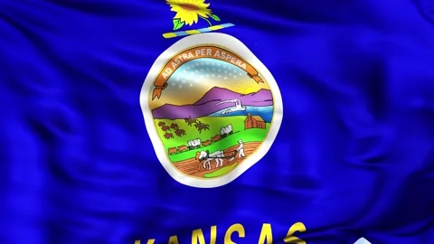 Kansas State Waving Flag Background Stock Footage 204138589