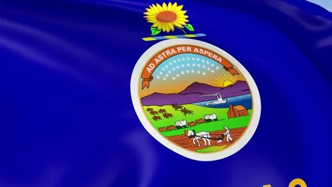 Kansas State Waving Flag Background Loop Stock Footage 317846366