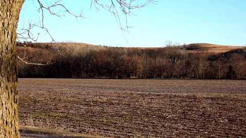 Kansas Winter Wheat field sprouting with the Flint Hills in the background Stock Footage 72685578