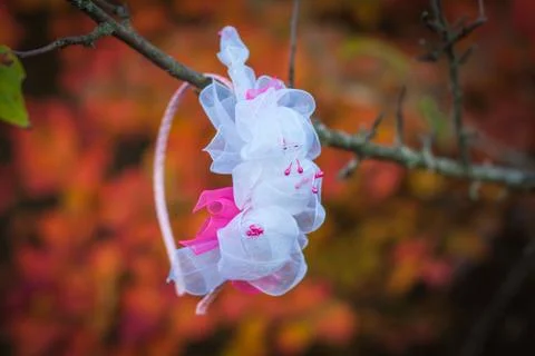 Kanzashi Foto stock