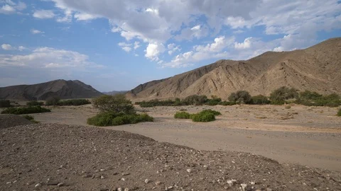 Kaokoland landscape, green trees, Namibia, Africa in 4K Stock Footage 90917956