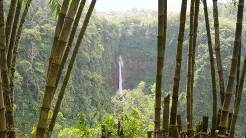 Kapas Biru Waterfall Seen Through Bamboo From Panoramic Viewpoint in Java 库存影片 346851916