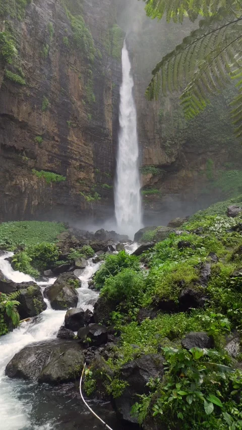 Kapas Biru Waterfall surrounded by lush tropical rainforest, East Java Indonesia Vídeos de archivo 337709307