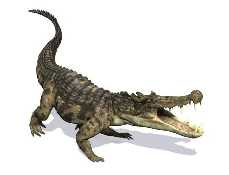 Kaprosuchus Stock Illustration